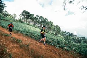 BIB: 
                            <button type="button" onclick="openModal(25524338)" class="btn btn-primary btn-sm float-right btn-popup" data-toggle="modal" data-target=".modal-high-quality">
                        <i class="fas fa-shopping-cart"></i> Add to Cart
                    </button>
                                            <button type="button" onclick="isThisMe(25524338, true)" class="btn btn-success btn-sm float-right btn-popup btn-isme hidden" data-toggle="tooltip" data-placement="bottom" title="นี่คือรูปของคุณใช่ไหม คลิกที่นี่เพื่อเอาเข้าอัลบั้ม">
                        <i class="fas fa-plus"></i> Add to album
                    </button>
                    <button type="button" onclick="isThisMe(25524338, false)" class="btn btn-warning btn-sm float-right btn-popup btn-isnotme hidden">
                        <i class="fas fa-ban"></i> Remove from album
                    </button>