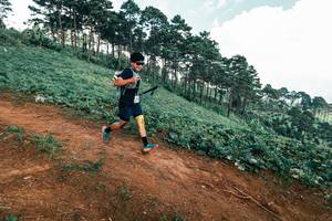 BIB: 
                            <button type="button" onclick="openModal(25520864)" class="btn btn-primary btn-sm float-right btn-popup" data-toggle="modal" data-target=".modal-high-quality">
                        <i class="fas fa-shopping-cart"></i> Add to Cart
                    </button>
                                            <button type="button" onclick="isThisMe(25520864, true)" class="btn btn-success btn-sm float-right btn-popup btn-isme hidden" data-toggle="tooltip" data-placement="bottom" title="นี่คือรูปของคุณใช่ไหม คลิกที่นี่เพื่อเอาเข้าอัลบั้ม">
                        <i class="fas fa-plus"></i> Add to album
                    </button>
                    <button type="button" onclick="isThisMe(25520864, false)" class="btn btn-warning btn-sm float-right btn-popup btn-isnotme hidden">
                        <i class="fas fa-ban"></i> Remove from album
                    </button>