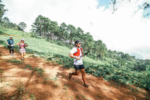 BIB: 
                            <button type="button" onclick="openModal(25524018)" class="btn btn-primary btn-sm float-right btn-popup" data-toggle="modal" data-target=".modal-high-quality">
                        <i class="fas fa-shopping-cart"></i> Add to Cart
                    </button>
                                            <button type="button" onclick="isThisMe(25524018, true)" class="btn btn-success btn-sm float-right btn-popup btn-isme hidden" data-toggle="tooltip" data-placement="bottom" title="นี่คือรูปของคุณใช่ไหม คลิกที่นี่เพื่อเอาเข้าอัลบั้ม">
                        <i class="fas fa-plus"></i> Add to album
                    </button>
                    <button type="button" onclick="isThisMe(25524018, false)" class="btn btn-warning btn-sm float-right btn-popup btn-isnotme hidden">
                        <i class="fas fa-ban"></i> Remove from album
                    </button>