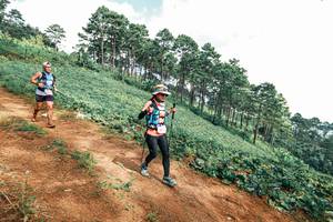 BIB: 
                            <button type="button" onclick="openModal(25523501)" class="btn btn-primary btn-sm float-right btn-popup" data-toggle="modal" data-target=".modal-high-quality">
                        <i class="fas fa-shopping-cart"></i> Add to Cart
                    </button>
                                            <button type="button" onclick="isThisMe(25523501, true)" class="btn btn-success btn-sm float-right btn-popup btn-isme hidden" data-toggle="tooltip" data-placement="bottom" title="นี่คือรูปของคุณใช่ไหม คลิกที่นี่เพื่อเอาเข้าอัลบั้ม">
                        <i class="fas fa-plus"></i> Add to album
                    </button>
                    <button type="button" onclick="isThisMe(25523501, false)" class="btn btn-warning btn-sm float-right btn-popup btn-isnotme hidden">
                        <i class="fas fa-ban"></i> Remove from album
                    </button>