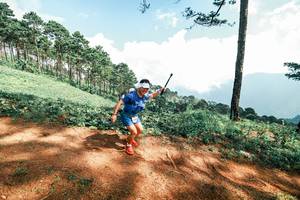 BIB: 
                            <button type="button" onclick="openModal(25519627)" class="btn btn-primary btn-sm float-right btn-popup" data-toggle="modal" data-target=".modal-high-quality">
                        <i class="fas fa-shopping-cart"></i> Add to Cart
                    </button>
                                            <button type="button" onclick="isThisMe(25519627, true)" class="btn btn-success btn-sm float-right btn-popup btn-isme hidden" data-toggle="tooltip" data-placement="bottom" title="นี่คือรูปของคุณใช่ไหม คลิกที่นี่เพื่อเอาเข้าอัลบั้ม">
                        <i class="fas fa-plus"></i> Add to album
                    </button>
                    <button type="button" onclick="isThisMe(25519627, false)" class="btn btn-warning btn-sm float-right btn-popup btn-isnotme hidden">
                        <i class="fas fa-ban"></i> Remove from album
                    </button>