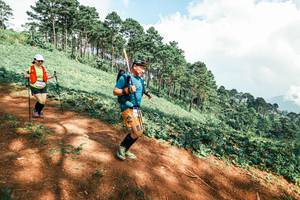 BIB: 
                            <button type="button" onclick="openModal(25529408)" class="btn btn-primary btn-sm float-right btn-popup" data-toggle="modal" data-target=".modal-high-quality">
                        <i class="fas fa-shopping-cart"></i> Add to Cart
                    </button>
                                            <button type="button" onclick="isThisMe(25529408, true)" class="btn btn-success btn-sm float-right btn-popup btn-isme hidden" data-toggle="tooltip" data-placement="bottom" title="นี่คือรูปของคุณใช่ไหม คลิกที่นี่เพื่อเอาเข้าอัลบั้ม">
                        <i class="fas fa-plus"></i> Add to album
                    </button>
                    <button type="button" onclick="isThisMe(25529408, false)" class="btn btn-warning btn-sm float-right btn-popup btn-isnotme hidden">
                        <i class="fas fa-ban"></i> Remove from album
                    </button>