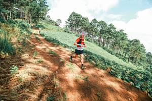 BIB: 
                            <button type="button" onclick="openModal(25522550)" class="btn btn-primary btn-sm float-right btn-popup" data-toggle="modal" data-target=".modal-high-quality">
                        <i class="fas fa-shopping-cart"></i> Add to Cart
                    </button>
                                            <button type="button" onclick="isThisMe(25522550, true)" class="btn btn-success btn-sm float-right btn-popup btn-isme hidden" data-toggle="tooltip" data-placement="bottom" title="นี่คือรูปของคุณใช่ไหม คลิกที่นี่เพื่อเอาเข้าอัลบั้ม">
                        <i class="fas fa-plus"></i> Add to album
                    </button>
                    <button type="button" onclick="isThisMe(25522550, false)" class="btn btn-warning btn-sm float-right btn-popup btn-isnotme hidden">
                        <i class="fas fa-ban"></i> Remove from album
                    </button>