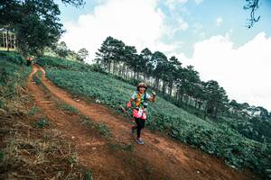 BIB: 
                            <button type="button" onclick="openModal(25522727)" class="btn btn-primary btn-sm float-right btn-popup" data-toggle="modal" data-target=".modal-high-quality">
                        <i class="fas fa-shopping-cart"></i> Add to Cart
                    </button>
                                            <button type="button" onclick="isThisMe(25522727, true)" class="btn btn-success btn-sm float-right btn-popup btn-isme hidden" data-toggle="tooltip" data-placement="bottom" title="นี่คือรูปของคุณใช่ไหม คลิกที่นี่เพื่อเอาเข้าอัลบั้ม">
                        <i class="fas fa-plus"></i> Add to album
                    </button>
                    <button type="button" onclick="isThisMe(25522727, false)" class="btn btn-warning btn-sm float-right btn-popup btn-isnotme hidden">
                        <i class="fas fa-ban"></i> Remove from album
                    </button>