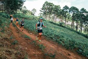 BIB: 
                            <button type="button" onclick="openModal(25520662)" class="btn btn-primary btn-sm float-right btn-popup" data-toggle="modal" data-target=".modal-high-quality">
                        <i class="fas fa-shopping-cart"></i> Add to Cart
                    </button>
                                            <button type="button" onclick="isThisMe(25520662, true)" class="btn btn-success btn-sm float-right btn-popup btn-isme hidden" data-toggle="tooltip" data-placement="bottom" title="นี่คือรูปของคุณใช่ไหม คลิกที่นี่เพื่อเอาเข้าอัลบั้ม">
                        <i class="fas fa-plus"></i> Add to album
                    </button>
                    <button type="button" onclick="isThisMe(25520662, false)" class="btn btn-warning btn-sm float-right btn-popup btn-isnotme hidden">
                        <i class="fas fa-ban"></i> Remove from album
                    </button>