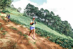 BIB: 
                            <button type="button" onclick="openModal(25523376)" class="btn btn-primary btn-sm float-right btn-popup" data-toggle="modal" data-target=".modal-high-quality">
                        <i class="fas fa-shopping-cart"></i> Add to Cart
                    </button>
                                            <button type="button" onclick="isThisMe(25523376, true)" class="btn btn-success btn-sm float-right btn-popup btn-isme hidden" data-toggle="tooltip" data-placement="bottom" title="นี่คือรูปของคุณใช่ไหม คลิกที่นี่เพื่อเอาเข้าอัลบั้ม">
                        <i class="fas fa-plus"></i> Add to album
                    </button>
                    <button type="button" onclick="isThisMe(25523376, false)" class="btn btn-warning btn-sm float-right btn-popup btn-isnotme hidden">
                        <i class="fas fa-ban"></i> Remove from album
                    </button>