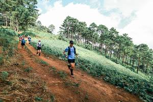 BIB: 
                            <button type="button" onclick="openModal(25525010)" class="btn btn-primary btn-sm float-right btn-popup" data-toggle="modal" data-target=".modal-high-quality">
                        <i class="fas fa-shopping-cart"></i> Add to Cart
                    </button>
                                            <button type="button" onclick="isThisMe(25525010, true)" class="btn btn-success btn-sm float-right btn-popup btn-isme hidden" data-toggle="tooltip" data-placement="bottom" title="นี่คือรูปของคุณใช่ไหม คลิกที่นี่เพื่อเอาเข้าอัลบั้ม">
                        <i class="fas fa-plus"></i> Add to album
                    </button>
                    <button type="button" onclick="isThisMe(25525010, false)" class="btn btn-warning btn-sm float-right btn-popup btn-isnotme hidden">
                        <i class="fas fa-ban"></i> Remove from album
                    </button>