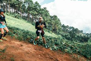 BIB: 
                            <button type="button" onclick="openModal(25521620)" class="btn btn-primary btn-sm float-right btn-popup" data-toggle="modal" data-target=".modal-high-quality">
                        <i class="fas fa-shopping-cart"></i> Add to Cart
                    </button>
                                            <button type="button" onclick="isThisMe(25521620, true)" class="btn btn-success btn-sm float-right btn-popup btn-isme hidden" data-toggle="tooltip" data-placement="bottom" title="นี่คือรูปของคุณใช่ไหม คลิกที่นี่เพื่อเอาเข้าอัลบั้ม">
                        <i class="fas fa-plus"></i> Add to album
                    </button>
                    <button type="button" onclick="isThisMe(25521620, false)" class="btn btn-warning btn-sm float-right btn-popup btn-isnotme hidden">
                        <i class="fas fa-ban"></i> Remove from album
                    </button>