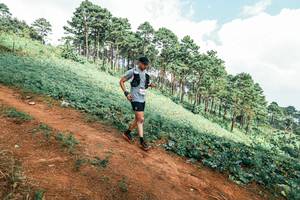 BIB: 
                            <button type="button" onclick="openModal(25527341)" class="btn btn-primary btn-sm float-right btn-popup" data-toggle="modal" data-target=".modal-high-quality">
                        <i class="fas fa-shopping-cart"></i> Add to Cart
                    </button>
                                            <button type="button" onclick="isThisMe(25527341, true)" class="btn btn-success btn-sm float-right btn-popup btn-isme hidden" data-toggle="tooltip" data-placement="bottom" title="นี่คือรูปของคุณใช่ไหม คลิกที่นี่เพื่อเอาเข้าอัลบั้ม">
                        <i class="fas fa-plus"></i> Add to album
                    </button>
                    <button type="button" onclick="isThisMe(25527341, false)" class="btn btn-warning btn-sm float-right btn-popup btn-isnotme hidden">
                        <i class="fas fa-ban"></i> Remove from album
                    </button>