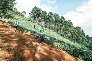 BIB: 
                            <button type="button" onclick="openModal(25529089)" class="btn btn-primary btn-sm float-right btn-popup" data-toggle="modal" data-target=".modal-high-quality">
                        <i class="fas fa-shopping-cart"></i> Add to Cart
                    </button>
                                            <button type="button" onclick="isThisMe(25529089, true)" class="btn btn-success btn-sm float-right btn-popup btn-isme hidden" data-toggle="tooltip" data-placement="bottom" title="นี่คือรูปของคุณใช่ไหม คลิกที่นี่เพื่อเอาเข้าอัลบั้ม">
                        <i class="fas fa-plus"></i> Add to album
                    </button>
                    <button type="button" onclick="isThisMe(25529089, false)" class="btn btn-warning btn-sm float-right btn-popup btn-isnotme hidden">
                        <i class="fas fa-ban"></i> Remove from album
                    </button>