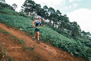 BIB: 
                            <button type="button" onclick="openModal(25520920)" class="btn btn-primary btn-sm float-right btn-popup" data-toggle="modal" data-target=".modal-high-quality">
                        <i class="fas fa-shopping-cart"></i> Add to Cart
                    </button>
                                            <button type="button" onclick="isThisMe(25520920, true)" class="btn btn-success btn-sm float-right btn-popup btn-isme hidden" data-toggle="tooltip" data-placement="bottom" title="นี่คือรูปของคุณใช่ไหม คลิกที่นี่เพื่อเอาเข้าอัลบั้ม">
                        <i class="fas fa-plus"></i> Add to album
                    </button>
                    <button type="button" onclick="isThisMe(25520920, false)" class="btn btn-warning btn-sm float-right btn-popup btn-isnotme hidden">
                        <i class="fas fa-ban"></i> Remove from album
                    </button>