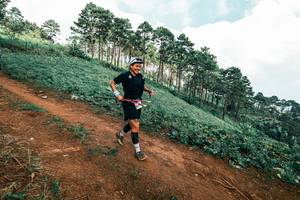 BIB: 
                            <button type="button" onclick="openModal(25527991)" class="btn btn-primary btn-sm float-right btn-popup" data-toggle="modal" data-target=".modal-high-quality">
                        <i class="fas fa-shopping-cart"></i> Add to Cart
                    </button>
                                            <button type="button" onclick="isThisMe(25527991, true)" class="btn btn-success btn-sm float-right btn-popup btn-isme hidden" data-toggle="tooltip" data-placement="bottom" title="นี่คือรูปของคุณใช่ไหม คลิกที่นี่เพื่อเอาเข้าอัลบั้ม">
                        <i class="fas fa-plus"></i> Add to album
                    </button>
                    <button type="button" onclick="isThisMe(25527991, false)" class="btn btn-warning btn-sm float-right btn-popup btn-isnotme hidden">
                        <i class="fas fa-ban"></i> Remove from album
                    </button>