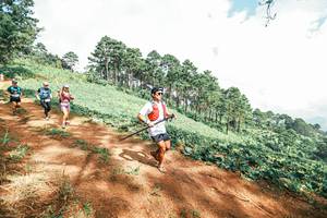 BIB: 
                            <button type="button" onclick="openModal(25524014)" class="btn btn-primary btn-sm float-right btn-popup" data-toggle="modal" data-target=".modal-high-quality">
                        <i class="fas fa-shopping-cart"></i> Add to Cart
                    </button>
                                            <button type="button" onclick="isThisMe(25524014, true)" class="btn btn-success btn-sm float-right btn-popup btn-isme hidden" data-toggle="tooltip" data-placement="bottom" title="นี่คือรูปของคุณใช่ไหม คลิกที่นี่เพื่อเอาเข้าอัลบั้ม">
                        <i class="fas fa-plus"></i> Add to album
                    </button>
                    <button type="button" onclick="isThisMe(25524014, false)" class="btn btn-warning btn-sm float-right btn-popup btn-isnotme hidden">
                        <i class="fas fa-ban"></i> Remove from album
                    </button>