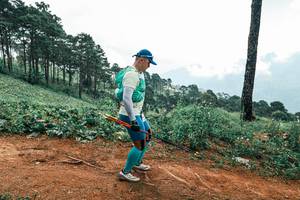 BIB: 
                            <button type="button" onclick="openModal(25526161)" class="btn btn-primary btn-sm float-right btn-popup" data-toggle="modal" data-target=".modal-high-quality">
                        <i class="fas fa-shopping-cart"></i> Add to Cart
                    </button>
                                            <button type="button" onclick="isThisMe(25526161, true)" class="btn btn-success btn-sm float-right btn-popup btn-isme hidden" data-toggle="tooltip" data-placement="bottom" title="นี่คือรูปของคุณใช่ไหม คลิกที่นี่เพื่อเอาเข้าอัลบั้ม">
                        <i class="fas fa-plus"></i> Add to album
                    </button>
                    <button type="button" onclick="isThisMe(25526161, false)" class="btn btn-warning btn-sm float-right btn-popup btn-isnotme hidden">
                        <i class="fas fa-ban"></i> Remove from album
                    </button>