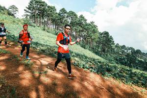 BIB: 
                            <button type="button" onclick="openModal(25530392)" class="btn btn-primary btn-sm float-right btn-popup" data-toggle="modal" data-target=".modal-high-quality">
                        <i class="fas fa-shopping-cart"></i> Add to Cart
                    </button>
                                            <button type="button" onclick="isThisMe(25530392, true)" class="btn btn-success btn-sm float-right btn-popup btn-isme hidden" data-toggle="tooltip" data-placement="bottom" title="นี่คือรูปของคุณใช่ไหม คลิกที่นี่เพื่อเอาเข้าอัลบั้ม">
                        <i class="fas fa-plus"></i> Add to album
                    </button>
                    <button type="button" onclick="isThisMe(25530392, false)" class="btn btn-warning btn-sm float-right btn-popup btn-isnotme hidden">
                        <i class="fas fa-ban"></i> Remove from album
                    </button>