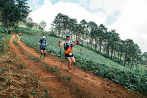 BIB: 
                            <button type="button" onclick="openModal(25525065)" class="btn btn-primary btn-sm float-right btn-popup" data-toggle="modal" data-target=".modal-high-quality">
                        <i class="fas fa-shopping-cart"></i> Add to Cart
                    </button>
                                            <button type="button" onclick="isThisMe(25525065, true)" class="btn btn-success btn-sm float-right btn-popup btn-isme hidden" data-toggle="tooltip" data-placement="bottom" title="นี่คือรูปของคุณใช่ไหม คลิกที่นี่เพื่อเอาเข้าอัลบั้ม">
                        <i class="fas fa-plus"></i> Add to album
                    </button>
                    <button type="button" onclick="isThisMe(25525065, false)" class="btn btn-warning btn-sm float-right btn-popup btn-isnotme hidden">
                        <i class="fas fa-ban"></i> Remove from album
                    </button>