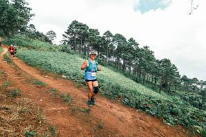 BIB: 
                            <button type="button" onclick="openModal(25525680)" class="btn btn-primary btn-sm float-right btn-popup" data-toggle="modal" data-target=".modal-high-quality">
                        <i class="fas fa-shopping-cart"></i> Add to Cart
                    </button>
                                            <button type="button" onclick="isThisMe(25525680, true)" class="btn btn-success btn-sm float-right btn-popup btn-isme hidden" data-toggle="tooltip" data-placement="bottom" title="นี่คือรูปของคุณใช่ไหม คลิกที่นี่เพื่อเอาเข้าอัลบั้ม">
                        <i class="fas fa-plus"></i> Add to album
                    </button>
                    <button type="button" onclick="isThisMe(25525680, false)" class="btn btn-warning btn-sm float-right btn-popup btn-isnotme hidden">
                        <i class="fas fa-ban"></i> Remove from album
                    </button>