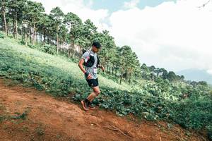 BIB: 
                            <button type="button" onclick="openModal(25527339)" class="btn btn-primary btn-sm float-right btn-popup" data-toggle="modal" data-target=".modal-high-quality">
                        <i class="fas fa-shopping-cart"></i> Add to Cart
                    </button>
                                            <button type="button" onclick="isThisMe(25527339, true)" class="btn btn-success btn-sm float-right btn-popup btn-isme hidden" data-toggle="tooltip" data-placement="bottom" title="นี่คือรูปของคุณใช่ไหม คลิกที่นี่เพื่อเอาเข้าอัลบั้ม">
                        <i class="fas fa-plus"></i> Add to album
                    </button>
                    <button type="button" onclick="isThisMe(25527339, false)" class="btn btn-warning btn-sm float-right btn-popup btn-isnotme hidden">
                        <i class="fas fa-ban"></i> Remove from album
                    </button>