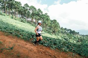 BIB: 
                            <button type="button" onclick="openModal(25527310)" class="btn btn-primary btn-sm float-right btn-popup" data-toggle="modal" data-target=".modal-high-quality">
                        <i class="fas fa-shopping-cart"></i> Add to Cart
                    </button>
                                            <button type="button" onclick="isThisMe(25527310, true)" class="btn btn-success btn-sm float-right btn-popup btn-isme hidden" data-toggle="tooltip" data-placement="bottom" title="นี่คือรูปของคุณใช่ไหม คลิกที่นี่เพื่อเอาเข้าอัลบั้ม">
                        <i class="fas fa-plus"></i> Add to album
                    </button>
                    <button type="button" onclick="isThisMe(25527310, false)" class="btn btn-warning btn-sm float-right btn-popup btn-isnotme hidden">
                        <i class="fas fa-ban"></i> Remove from album
                    </button>