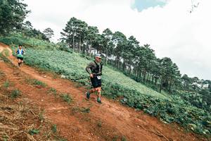 BIB: 
                            <button type="button" onclick="openModal(25525787)" class="btn btn-primary btn-sm float-right btn-popup" data-toggle="modal" data-target=".modal-high-quality">
                        <i class="fas fa-shopping-cart"></i> Add to Cart
                    </button>
                                            <button type="button" onclick="isThisMe(25525787, true)" class="btn btn-success btn-sm float-right btn-popup btn-isme hidden" data-toggle="tooltip" data-placement="bottom" title="นี่คือรูปของคุณใช่ไหม คลิกที่นี่เพื่อเอาเข้าอัลบั้ม">
                        <i class="fas fa-plus"></i> Add to album
                    </button>
                    <button type="button" onclick="isThisMe(25525787, false)" class="btn btn-warning btn-sm float-right btn-popup btn-isnotme hidden">
                        <i class="fas fa-ban"></i> Remove from album
                    </button>