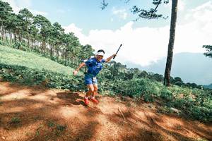 BIB: 
                            <button type="button" onclick="openModal(25519632)" class="btn btn-primary btn-sm float-right btn-popup" data-toggle="modal" data-target=".modal-high-quality">
                        <i class="fas fa-shopping-cart"></i> Add to Cart
                    </button>
                                            <button type="button" onclick="isThisMe(25519632, true)" class="btn btn-success btn-sm float-right btn-popup btn-isme hidden" data-toggle="tooltip" data-placement="bottom" title="นี่คือรูปของคุณใช่ไหม คลิกที่นี่เพื่อเอาเข้าอัลบั้ม">
                        <i class="fas fa-plus"></i> Add to album
                    </button>
                    <button type="button" onclick="isThisMe(25519632, false)" class="btn btn-warning btn-sm float-right btn-popup btn-isnotme hidden">
                        <i class="fas fa-ban"></i> Remove from album
                    </button>