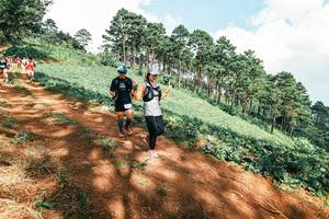 BIB: 
                            <button type="button" onclick="openModal(25530095)" class="btn btn-primary btn-sm float-right btn-popup" data-toggle="modal" data-target=".modal-high-quality">
                        <i class="fas fa-shopping-cart"></i> Add to Cart
                    </button>
                                            <button type="button" onclick="isThisMe(25530095, true)" class="btn btn-success btn-sm float-right btn-popup btn-isme hidden" data-toggle="tooltip" data-placement="bottom" title="นี่คือรูปของคุณใช่ไหม คลิกที่นี่เพื่อเอาเข้าอัลบั้ม">
                        <i class="fas fa-plus"></i> Add to album
                    </button>
                    <button type="button" onclick="isThisMe(25530095, false)" class="btn btn-warning btn-sm float-right btn-popup btn-isnotme hidden">
                        <i class="fas fa-ban"></i> Remove from album
                    </button>