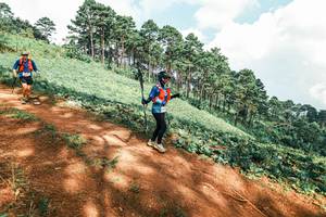 BIB: 
                            <button type="button" onclick="openModal(25531709)" class="btn btn-primary btn-sm float-right btn-popup" data-toggle="modal" data-target=".modal-high-quality">
                        <i class="fas fa-shopping-cart"></i> Add to Cart
                    </button>
                                            <button type="button" onclick="isThisMe(25531709, true)" class="btn btn-success btn-sm float-right btn-popup btn-isme hidden" data-toggle="tooltip" data-placement="bottom" title="นี่คือรูปของคุณใช่ไหม คลิกที่นี่เพื่อเอาเข้าอัลบั้ม">
                        <i class="fas fa-plus"></i> Add to album
                    </button>
                    <button type="button" onclick="isThisMe(25531709, false)" class="btn btn-warning btn-sm float-right btn-popup btn-isnotme hidden">
                        <i class="fas fa-ban"></i> Remove from album
                    </button>