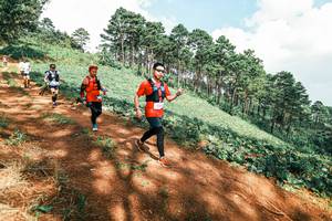 BIB: 
                            <button type="button" onclick="openModal(25530360)" class="btn btn-primary btn-sm float-right btn-popup" data-toggle="modal" data-target=".modal-high-quality">
                        <i class="fas fa-shopping-cart"></i> Add to Cart
                    </button>
                                            <button type="button" onclick="isThisMe(25530360, true)" class="btn btn-success btn-sm float-right btn-popup btn-isme hidden" data-toggle="tooltip" data-placement="bottom" title="นี่คือรูปของคุณใช่ไหม คลิกที่นี่เพื่อเอาเข้าอัลบั้ม">
                        <i class="fas fa-plus"></i> Add to album
                    </button>
                    <button type="button" onclick="isThisMe(25530360, false)" class="btn btn-warning btn-sm float-right btn-popup btn-isnotme hidden">
                        <i class="fas fa-ban"></i> Remove from album
                    </button>