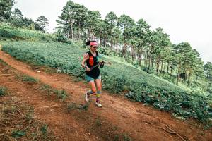 BIB: 
                            <button type="button" onclick="openModal(25538830)" class="btn btn-primary btn-sm float-right btn-popup" data-toggle="modal" data-target=".modal-high-quality">
                        <i class="fas fa-shopping-cart"></i> Add to Cart
                    </button>
                                            <button type="button" onclick="isThisMe(25538830, true)" class="btn btn-success btn-sm float-right btn-popup btn-isme hidden" data-toggle="tooltip" data-placement="bottom" title="นี่คือรูปของคุณใช่ไหม คลิกที่นี่เพื่อเอาเข้าอัลบั้ม">
                        <i class="fas fa-plus"></i> Add to album
                    </button>
                    <button type="button" onclick="isThisMe(25538830, false)" class="btn btn-warning btn-sm float-right btn-popup btn-isnotme hidden">
                        <i class="fas fa-ban"></i> Remove from album
                    </button>