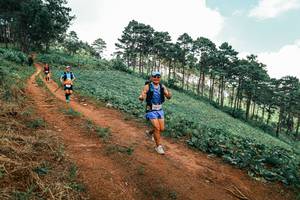 BIB: 
                            <button type="button" onclick="openModal(25551667)" class="btn btn-primary btn-sm float-right btn-popup" data-toggle="modal" data-target=".modal-high-quality">
                        <i class="fas fa-shopping-cart"></i> Add to Cart
                    </button>
                                            <button type="button" onclick="isThisMe(25551667, true)" class="btn btn-success btn-sm float-right btn-popup btn-isme hidden" data-toggle="tooltip" data-placement="bottom" title="นี่คือรูปของคุณใช่ไหม คลิกที่นี่เพื่อเอาเข้าอัลบั้ม">
                        <i class="fas fa-plus"></i> Add to album
                    </button>
                    <button type="button" onclick="isThisMe(25551667, false)" class="btn btn-warning btn-sm float-right btn-popup btn-isnotme hidden">
                        <i class="fas fa-ban"></i> Remove from album
                    </button>