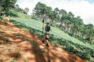 BIB: 
                            <button type="button" onclick="openModal(25539783)" class="btn btn-primary btn-sm float-right btn-popup" data-toggle="modal" data-target=".modal-high-quality">
                        <i class="fas fa-shopping-cart"></i> Add to Cart
                    </button>
                                            <button type="button" onclick="isThisMe(25539783, true)" class="btn btn-success btn-sm float-right btn-popup btn-isme hidden" data-toggle="tooltip" data-placement="bottom" title="นี่คือรูปของคุณใช่ไหม คลิกที่นี่เพื่อเอาเข้าอัลบั้ม">
                        <i class="fas fa-plus"></i> Add to album
                    </button>
                    <button type="button" onclick="isThisMe(25539783, false)" class="btn btn-warning btn-sm float-right btn-popup btn-isnotme hidden">
                        <i class="fas fa-ban"></i> Remove from album
                    </button>