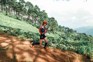 BIB: 
                            <button type="button" onclick="openModal(25539732)" class="btn btn-primary btn-sm float-right btn-popup" data-toggle="modal" data-target=".modal-high-quality">
                        <i class="fas fa-shopping-cart"></i> Add to Cart
                    </button>
                                            <button type="button" onclick="isThisMe(25539732, true)" class="btn btn-success btn-sm float-right btn-popup btn-isme hidden" data-toggle="tooltip" data-placement="bottom" title="นี่คือรูปของคุณใช่ไหม คลิกที่นี่เพื่อเอาเข้าอัลบั้ม">
                        <i class="fas fa-plus"></i> Add to album
                    </button>
                    <button type="button" onclick="isThisMe(25539732, false)" class="btn btn-warning btn-sm float-right btn-popup btn-isnotme hidden">
                        <i class="fas fa-ban"></i> Remove from album
                    </button>