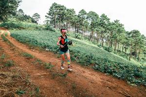 BIB: 
                            <button type="button" onclick="openModal(25538829)" class="btn btn-primary btn-sm float-right btn-popup" data-toggle="modal" data-target=".modal-high-quality">
                        <i class="fas fa-shopping-cart"></i> Add to Cart
                    </button>
                                            <button type="button" onclick="isThisMe(25538829, true)" class="btn btn-success btn-sm float-right btn-popup btn-isme hidden" data-toggle="tooltip" data-placement="bottom" title="นี่คือรูปของคุณใช่ไหม คลิกที่นี่เพื่อเอาเข้าอัลบั้ม">
                        <i class="fas fa-plus"></i> Add to album
                    </button>
                    <button type="button" onclick="isThisMe(25538829, false)" class="btn btn-warning btn-sm float-right btn-popup btn-isnotme hidden">
                        <i class="fas fa-ban"></i> Remove from album
                    </button>