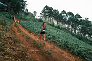 BIB: 
                            <button type="button" onclick="openModal(25538953)" class="btn btn-primary btn-sm float-right btn-popup" data-toggle="modal" data-target=".modal-high-quality">
                        <i class="fas fa-shopping-cart"></i> Add to Cart
                    </button>
                                            <button type="button" onclick="isThisMe(25538953, true)" class="btn btn-success btn-sm float-right btn-popup btn-isme hidden" data-toggle="tooltip" data-placement="bottom" title="นี่คือรูปของคุณใช่ไหม คลิกที่นี่เพื่อเอาเข้าอัลบั้ม">
                        <i class="fas fa-plus"></i> Add to album
                    </button>
                    <button type="button" onclick="isThisMe(25538953, false)" class="btn btn-warning btn-sm float-right btn-popup btn-isnotme hidden">
                        <i class="fas fa-ban"></i> Remove from album
                    </button>