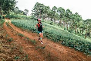 BIB: 
                            <button type="button" onclick="openModal(25538819)" class="btn btn-primary btn-sm float-right btn-popup" data-toggle="modal" data-target=".modal-high-quality">
                        <i class="fas fa-shopping-cart"></i> Add to Cart
                    </button>
                                            <button type="button" onclick="isThisMe(25538819, true)" class="btn btn-success btn-sm float-right btn-popup btn-isme hidden" data-toggle="tooltip" data-placement="bottom" title="นี่คือรูปของคุณใช่ไหม คลิกที่นี่เพื่อเอาเข้าอัลบั้ม">
                        <i class="fas fa-plus"></i> Add to album
                    </button>
                    <button type="button" onclick="isThisMe(25538819, false)" class="btn btn-warning btn-sm float-right btn-popup btn-isnotme hidden">
                        <i class="fas fa-ban"></i> Remove from album
                    </button>