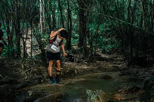 BIB: 
                            <button type="button" onclick="openModal(25858757)" class="btn btn-primary btn-sm float-right btn-popup" data-toggle="modal" data-target=".modal-high-quality">
                        <i class="fas fa-shopping-cart"></i> Add to Cart
                    </button>
                                            <button type="button" onclick="isThisMe(25858757, true)" class="btn btn-success btn-sm float-right btn-popup btn-isme hidden" data-toggle="tooltip" data-placement="bottom" title="นี่คือรูปของคุณใช่ไหม คลิกที่นี่เพื่อเอาเข้าอัลบั้ม">
                        <i class="fas fa-plus"></i> Add to album
                    </button>
                    <button type="button" onclick="isThisMe(25858757, false)" class="btn btn-warning btn-sm float-right btn-popup btn-isnotme hidden">
                        <i class="fas fa-ban"></i> Remove from album
                    </button>