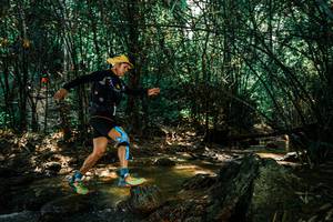 BIB: 
                            <button type="button" onclick="openModal(25846571)" class="btn btn-primary btn-sm float-right btn-popup" data-toggle="modal" data-target=".modal-high-quality">
                        <i class="fas fa-shopping-cart"></i> Add to Cart
                    </button>
                                            <button type="button" onclick="isThisMe(25846571, true)" class="btn btn-success btn-sm float-right btn-popup btn-isme hidden" data-toggle="tooltip" data-placement="bottom" title="นี่คือรูปของคุณใช่ไหม คลิกที่นี่เพื่อเอาเข้าอัลบั้ม">
                        <i class="fas fa-plus"></i> Add to album
                    </button>
                    <button type="button" onclick="isThisMe(25846571, false)" class="btn btn-warning btn-sm float-right btn-popup btn-isnotme hidden">
                        <i class="fas fa-ban"></i> Remove from album
                    </button>