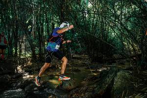 BIB: 
                            <button type="button" onclick="openModal(25853161)" class="btn btn-primary btn-sm float-right btn-popup" data-toggle="modal" data-target=".modal-high-quality">
                        <i class="fas fa-shopping-cart"></i> Add to Cart
                    </button>
                                            <button type="button" onclick="isThisMe(25853161, true)" class="btn btn-success btn-sm float-right btn-popup btn-isme hidden" data-toggle="tooltip" data-placement="bottom" title="นี่คือรูปของคุณใช่ไหม คลิกที่นี่เพื่อเอาเข้าอัลบั้ม">
                        <i class="fas fa-plus"></i> Add to album
                    </button>
                    <button type="button" onclick="isThisMe(25853161, false)" class="btn btn-warning btn-sm float-right btn-popup btn-isnotme hidden">
                        <i class="fas fa-ban"></i> Remove from album
                    </button>