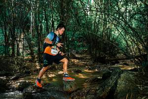 BIB: 
                            <button type="button" onclick="openModal(25850988)" class="btn btn-primary btn-sm float-right btn-popup" data-toggle="modal" data-target=".modal-high-quality">
                        <i class="fas fa-shopping-cart"></i> Add to Cart
                    </button>
                                            <button type="button" onclick="isThisMe(25850988, true)" class="btn btn-success btn-sm float-right btn-popup btn-isme hidden" data-toggle="tooltip" data-placement="bottom" title="นี่คือรูปของคุณใช่ไหม คลิกที่นี่เพื่อเอาเข้าอัลบั้ม">
                        <i class="fas fa-plus"></i> Add to album
                    </button>
                    <button type="button" onclick="isThisMe(25850988, false)" class="btn btn-warning btn-sm float-right btn-popup btn-isnotme hidden">
                        <i class="fas fa-ban"></i> Remove from album
                    </button>