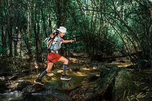 BIB: 
                            <button type="button" onclick="openModal(25851146)" class="btn btn-primary btn-sm float-right btn-popup" data-toggle="modal" data-target=".modal-high-quality">
                        <i class="fas fa-shopping-cart"></i> Add to Cart
                    </button>
                                            <button type="button" onclick="isThisMe(25851146, true)" class="btn btn-success btn-sm float-right btn-popup btn-isme hidden" data-toggle="tooltip" data-placement="bottom" title="นี่คือรูปของคุณใช่ไหม คลิกที่นี่เพื่อเอาเข้าอัลบั้ม">
                        <i class="fas fa-plus"></i> Add to album
                    </button>
                    <button type="button" onclick="isThisMe(25851146, false)" class="btn btn-warning btn-sm float-right btn-popup btn-isnotme hidden">
                        <i class="fas fa-ban"></i> Remove from album
                    </button>