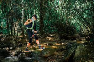 BIB: 
                            <button type="button" onclick="openModal(25851275)" class="btn btn-primary btn-sm float-right btn-popup" data-toggle="modal" data-target=".modal-high-quality">
                        <i class="fas fa-shopping-cart"></i> Add to Cart
                    </button>
                                            <button type="button" onclick="isThisMe(25851275, true)" class="btn btn-success btn-sm float-right btn-popup btn-isme hidden" data-toggle="tooltip" data-placement="bottom" title="นี่คือรูปของคุณใช่ไหม คลิกที่นี่เพื่อเอาเข้าอัลบั้ม">
                        <i class="fas fa-plus"></i> Add to album
                    </button>
                    <button type="button" onclick="isThisMe(25851275, false)" class="btn btn-warning btn-sm float-right btn-popup btn-isnotme hidden">
                        <i class="fas fa-ban"></i> Remove from album
                    </button>