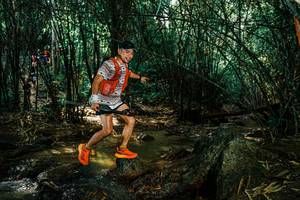 BIB: 
                            <button type="button" onclick="openModal(25858199)" class="btn btn-primary btn-sm float-right btn-popup" data-toggle="modal" data-target=".modal-high-quality">
                        <i class="fas fa-shopping-cart"></i> Add to Cart
                    </button>
                                            <button type="button" onclick="isThisMe(25858199, true)" class="btn btn-success btn-sm float-right btn-popup btn-isme hidden" data-toggle="tooltip" data-placement="bottom" title="นี่คือรูปของคุณใช่ไหม คลิกที่นี่เพื่อเอาเข้าอัลบั้ม">
                        <i class="fas fa-plus"></i> Add to album
                    </button>
                    <button type="button" onclick="isThisMe(25858199, false)" class="btn btn-warning btn-sm float-right btn-popup btn-isnotme hidden">
                        <i class="fas fa-ban"></i> Remove from album
                    </button>