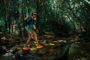 BIB: 
                            <button type="button" onclick="openModal(25851670)" class="btn btn-primary btn-sm float-right btn-popup" data-toggle="modal" data-target=".modal-high-quality">
                        <i class="fas fa-shopping-cart"></i> Add to Cart
                    </button>
                                            <button type="button" onclick="isThisMe(25851670, true)" class="btn btn-success btn-sm float-right btn-popup btn-isme hidden" data-toggle="tooltip" data-placement="bottom" title="นี่คือรูปของคุณใช่ไหม คลิกที่นี่เพื่อเอาเข้าอัลบั้ม">
                        <i class="fas fa-plus"></i> Add to album
                    </button>
                    <button type="button" onclick="isThisMe(25851670, false)" class="btn btn-warning btn-sm float-right btn-popup btn-isnotme hidden">
                        <i class="fas fa-ban"></i> Remove from album
                    </button>