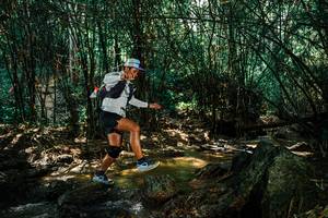 BIB: 
                            <button type="button" onclick="openModal(25845620)" class="btn btn-primary btn-sm float-right btn-popup" data-toggle="modal" data-target=".modal-high-quality">
                        <i class="fas fa-shopping-cart"></i> Add to Cart
                    </button>
                                            <button type="button" onclick="isThisMe(25845620, true)" class="btn btn-success btn-sm float-right btn-popup btn-isme hidden" data-toggle="tooltip" data-placement="bottom" title="นี่คือรูปของคุณใช่ไหม คลิกที่นี่เพื่อเอาเข้าอัลบั้ม">
                        <i class="fas fa-plus"></i> Add to album
                    </button>
                    <button type="button" onclick="isThisMe(25845620, false)" class="btn btn-warning btn-sm float-right btn-popup btn-isnotme hidden">
                        <i class="fas fa-ban"></i> Remove from album
                    </button>