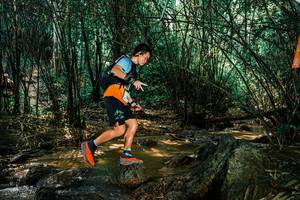 BIB: 
                            <button type="button" onclick="openModal(25850958)" class="btn btn-primary btn-sm float-right btn-popup" data-toggle="modal" data-target=".modal-high-quality">
                        <i class="fas fa-shopping-cart"></i> Add to Cart
                    </button>
                                            <button type="button" onclick="isThisMe(25850958, true)" class="btn btn-success btn-sm float-right btn-popup btn-isme hidden" data-toggle="tooltip" data-placement="bottom" title="นี่คือรูปของคุณใช่ไหม คลิกที่นี่เพื่อเอาเข้าอัลบั้ม">
                        <i class="fas fa-plus"></i> Add to album
                    </button>
                    <button type="button" onclick="isThisMe(25850958, false)" class="btn btn-warning btn-sm float-right btn-popup btn-isnotme hidden">
                        <i class="fas fa-ban"></i> Remove from album
                    </button>