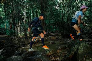 BIB: 
                            <button type="button" onclick="openModal(25856406)" class="btn btn-primary btn-sm float-right btn-popup" data-toggle="modal" data-target=".modal-high-quality">
                        <i class="fas fa-shopping-cart"></i> Add to Cart
                    </button>
                                            <button type="button" onclick="isThisMe(25856406, true)" class="btn btn-success btn-sm float-right btn-popup btn-isme hidden" data-toggle="tooltip" data-placement="bottom" title="นี่คือรูปของคุณใช่ไหม คลิกที่นี่เพื่อเอาเข้าอัลบั้ม">
                        <i class="fas fa-plus"></i> Add to album
                    </button>
                    <button type="button" onclick="isThisMe(25856406, false)" class="btn btn-warning btn-sm float-right btn-popup btn-isnotme hidden">
                        <i class="fas fa-ban"></i> Remove from album
                    </button>