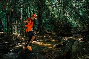 BIB: 
                            <button type="button" onclick="openModal(25848641)" class="btn btn-primary btn-sm float-right btn-popup" data-toggle="modal" data-target=".modal-high-quality">
                        <i class="fas fa-shopping-cart"></i> Add to Cart
                    </button>
                                            <button type="button" onclick="isThisMe(25848641, true)" class="btn btn-success btn-sm float-right btn-popup btn-isme hidden" data-toggle="tooltip" data-placement="bottom" title="นี่คือรูปของคุณใช่ไหม คลิกที่นี่เพื่อเอาเข้าอัลบั้ม">
                        <i class="fas fa-plus"></i> Add to album
                    </button>
                    <button type="button" onclick="isThisMe(25848641, false)" class="btn btn-warning btn-sm float-right btn-popup btn-isnotme hidden">
                        <i class="fas fa-ban"></i> Remove from album
                    </button>