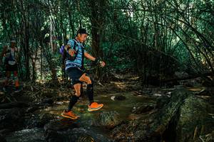 BIB: 
                            <button type="button" onclick="openModal(25856385)" class="btn btn-primary btn-sm float-right btn-popup" data-toggle="modal" data-target=".modal-high-quality">
                        <i class="fas fa-shopping-cart"></i> Add to Cart
                    </button>
                                            <button type="button" onclick="isThisMe(25856385, true)" class="btn btn-success btn-sm float-right btn-popup btn-isme hidden" data-toggle="tooltip" data-placement="bottom" title="นี่คือรูปของคุณใช่ไหม คลิกที่นี่เพื่อเอาเข้าอัลบั้ม">
                        <i class="fas fa-plus"></i> Add to album
                    </button>
                    <button type="button" onclick="isThisMe(25856385, false)" class="btn btn-warning btn-sm float-right btn-popup btn-isnotme hidden">
                        <i class="fas fa-ban"></i> Remove from album
                    </button>