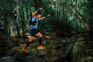 BIB: 
                            <button type="button" onclick="openModal(25856337)" class="btn btn-primary btn-sm float-right btn-popup" data-toggle="modal" data-target=".modal-high-quality">
                        <i class="fas fa-shopping-cart"></i> Add to Cart
                    </button>
                                            <button type="button" onclick="isThisMe(25856337, true)" class="btn btn-success btn-sm float-right btn-popup btn-isme hidden" data-toggle="tooltip" data-placement="bottom" title="นี่คือรูปของคุณใช่ไหม คลิกที่นี่เพื่อเอาเข้าอัลบั้ม">
                        <i class="fas fa-plus"></i> Add to album
                    </button>
                    <button type="button" onclick="isThisMe(25856337, false)" class="btn btn-warning btn-sm float-right btn-popup btn-isnotme hidden">
                        <i class="fas fa-ban"></i> Remove from album
                    </button>