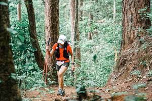 BIB: 
                            <button type="button" onclick="openModal(25827944)" class="btn btn-primary btn-sm float-right btn-popup" data-toggle="modal" data-target=".modal-high-quality">
                        <i class="fas fa-shopping-cart"></i> Add to Cart
                    </button>
                                            <button type="button" onclick="isThisMe(25827944, true)" class="btn btn-success btn-sm float-right btn-popup btn-isme hidden" data-toggle="tooltip" data-placement="bottom" title="นี่คือรูปของคุณใช่ไหม คลิกที่นี่เพื่อเอาเข้าอัลบั้ม">
                        <i class="fas fa-plus"></i> Add to album
                    </button>
                    <button type="button" onclick="isThisMe(25827944, false)" class="btn btn-warning btn-sm float-right btn-popup btn-isnotme hidden">
                        <i class="fas fa-ban"></i> Remove from album
                    </button>